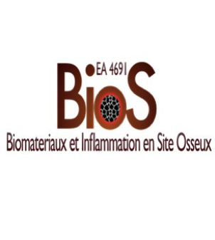 Biomatériaux et Inflammation en site osseux (BIOS)