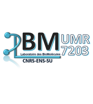 Laboratoire des Biomolécules (LBM)